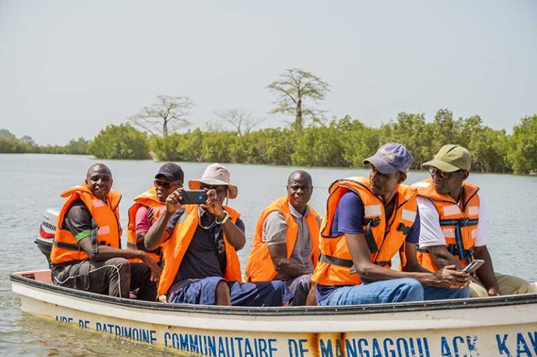 festival-mangal-protection-preservation-mangroves-programme-gestionnaires-aires-protegees-kawawana4