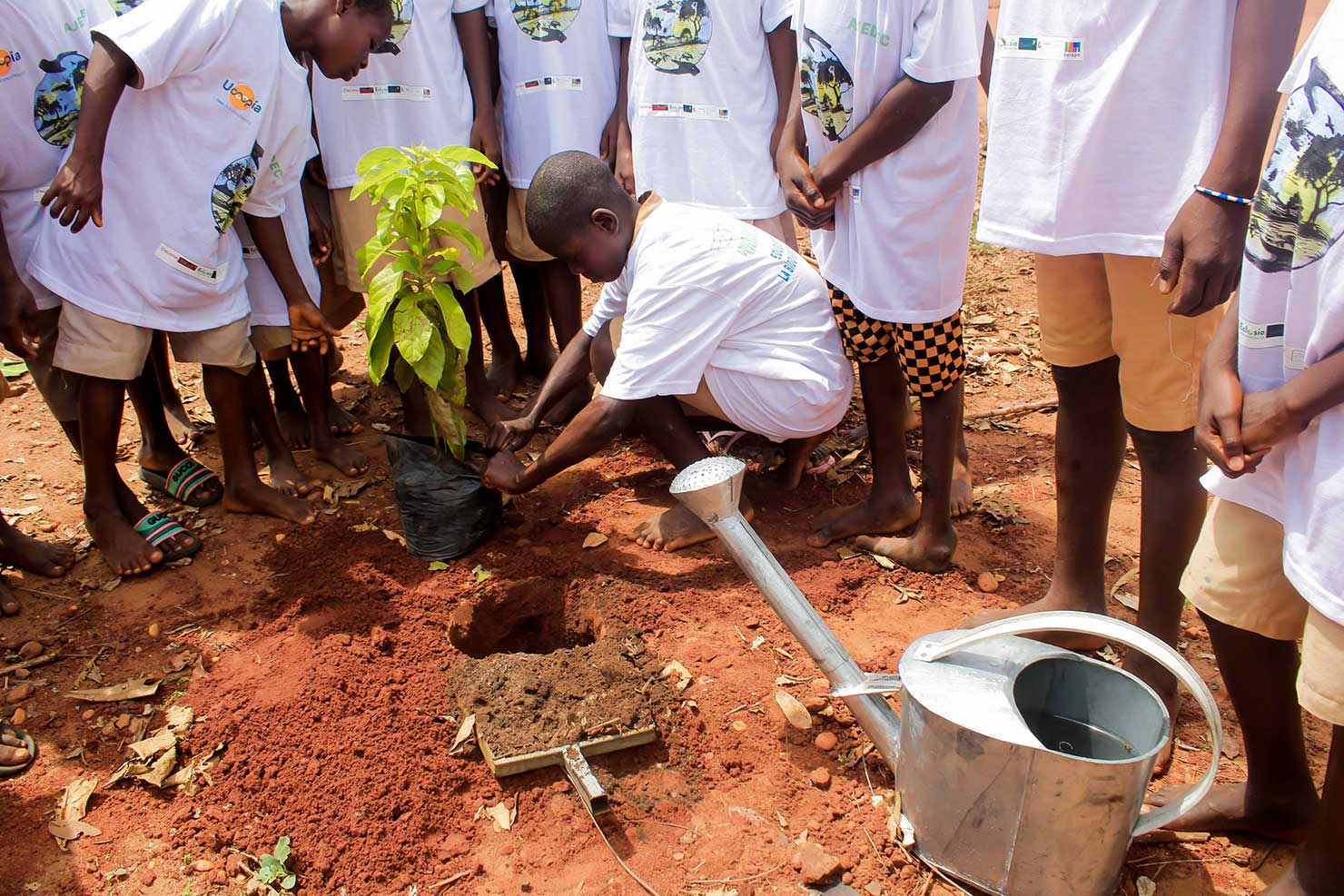 banner-festival-mangal-programme-pedagogique-the-togo-reserve-biosphere-mono-afrique-programme-pedagogique
